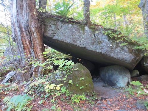 c0122133_2331723.jpg