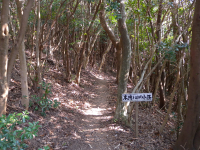 e0272335_2091873.jpg