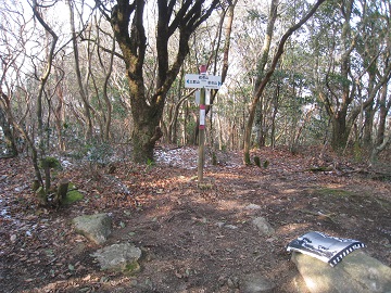 c0077338_1810548.jpg
