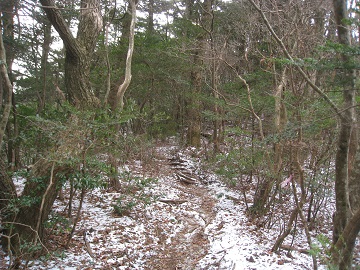 c0077338_1892693.jpg