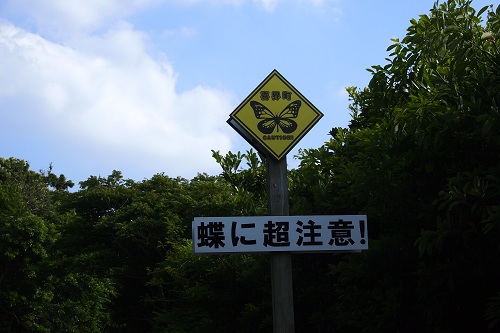 b0288942_22161796.jpg