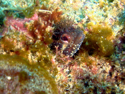 b0236647_13385855.jpg