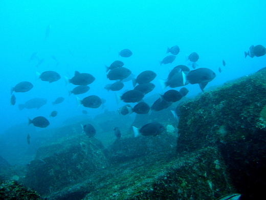 b0236647_13424219.jpg