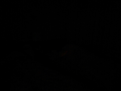 f0131165_21535416.jpg