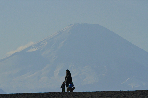 a0157069_2174524.jpg