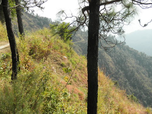 e0155370_1681239.jpg