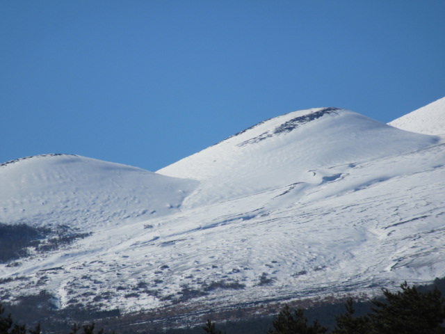d0109373_19453955.jpg