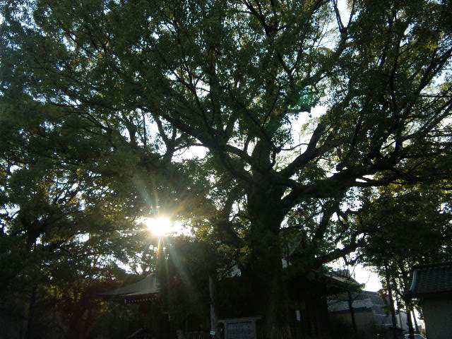 a0007185_1814454.jpg