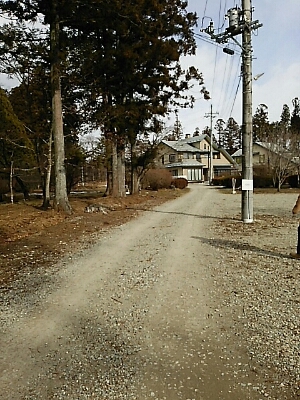 b0163088_1102490.jpg
