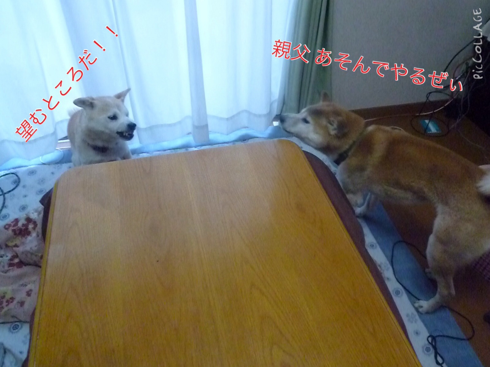 c0123890_20501614.jpg