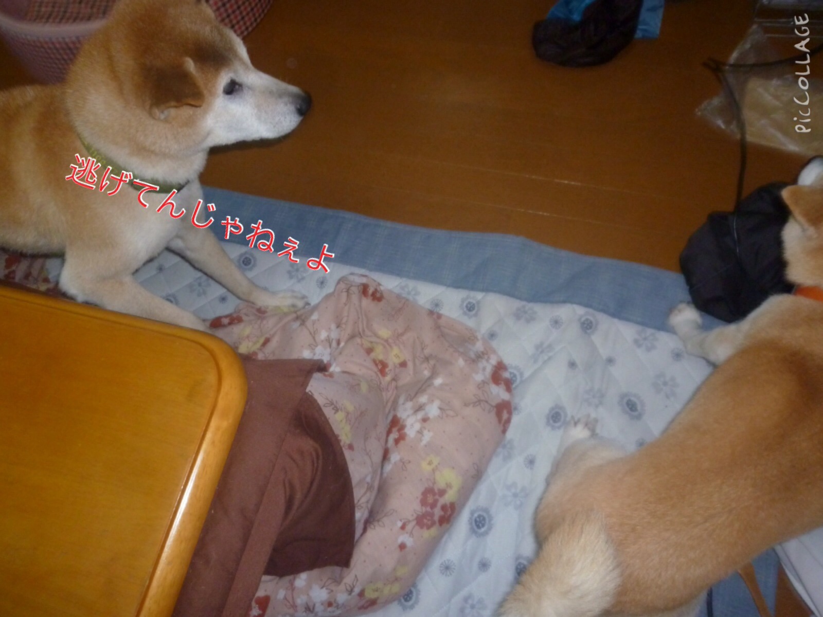 c0123890_20512100.jpg