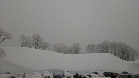 f0353990_20164082.jpg
