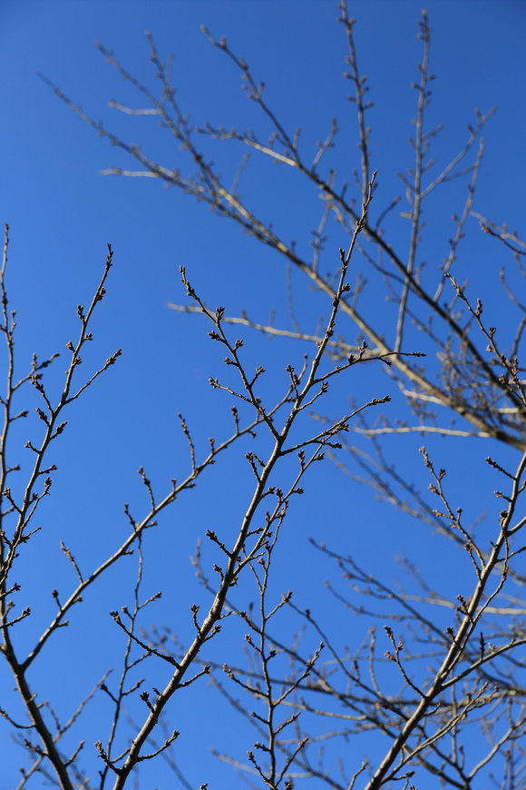 b0275998_1245040.jpg