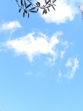 c0152002_17554184.jpg