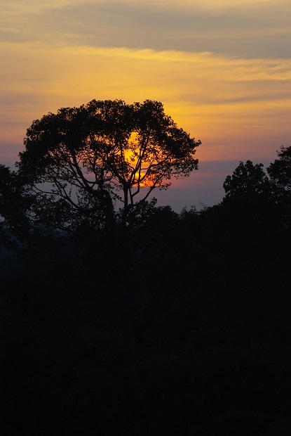 f0038904_00300765.jpg