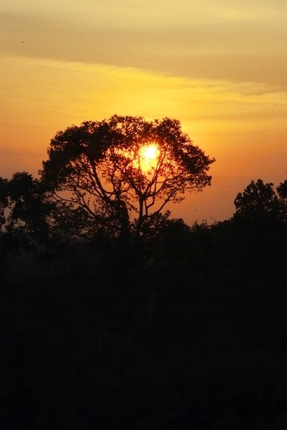 f0038904_00354547.jpg