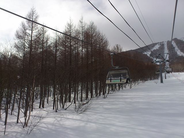 f0100911_19331961.jpg