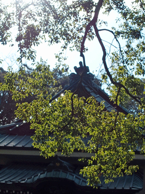 e0312121_10493346.gif