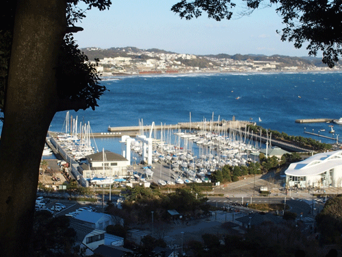 e0312121_1152829.gif