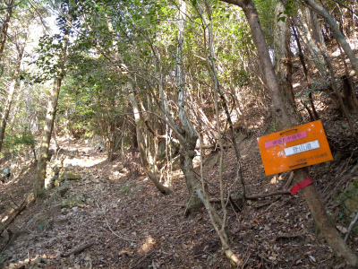 e0272335_19134697.jpg