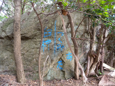 e0272335_1941869.jpg