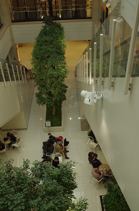 d0165741_21393.jpg