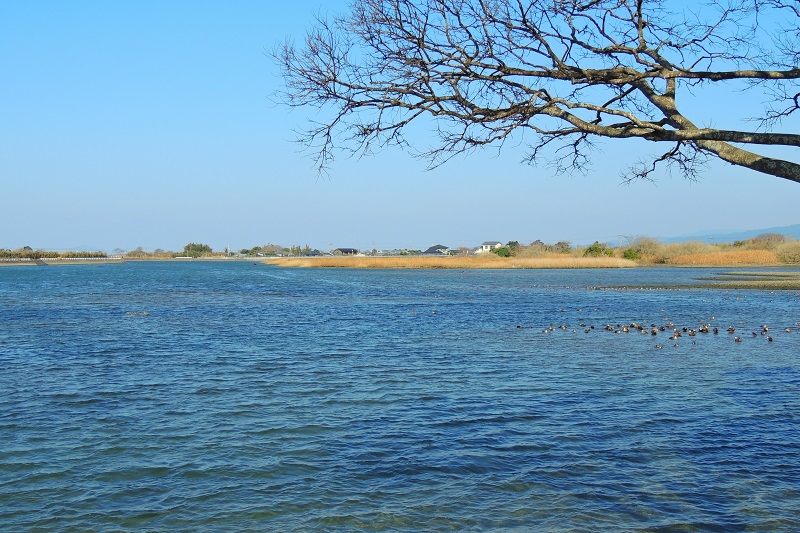 b0288942_23124783.jpg