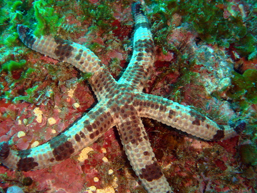 b0236647_1718364.jpg