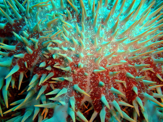 b0236647_17192315.jpg