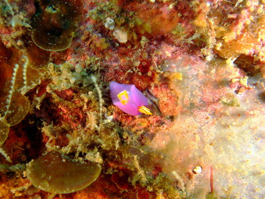 b0236647_173316.jpg