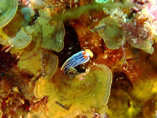 b0236647_1743619.jpg