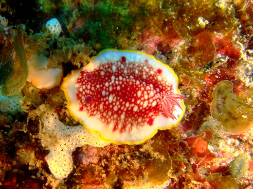b0236647_174894.jpg