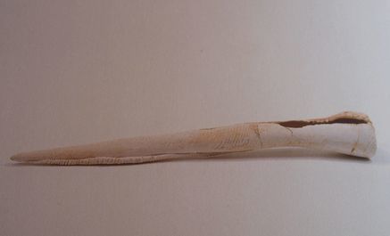 b0119150_21072309.jpg