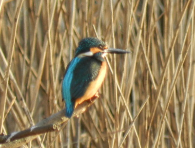 e0172950_9122329.jpg