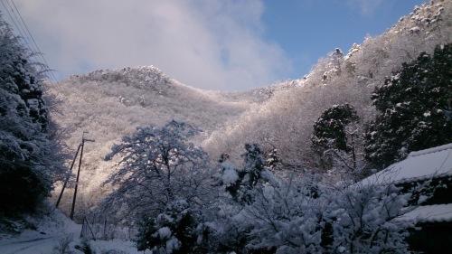 f0337851_14230594.jpg