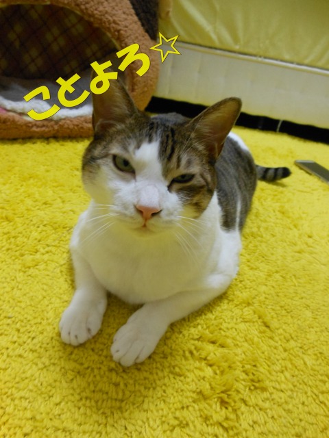 a0150353_1272242.jpg