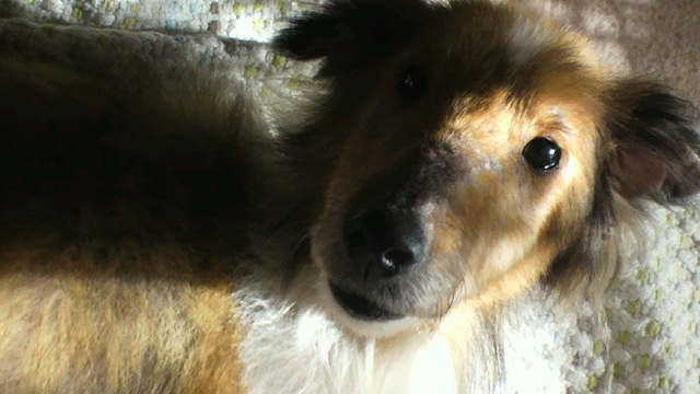 a0140955_20244929.jpg