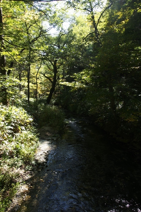 e0307372_14443040.jpg