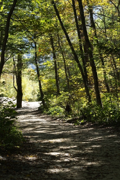 e0307372_15111133.jpg