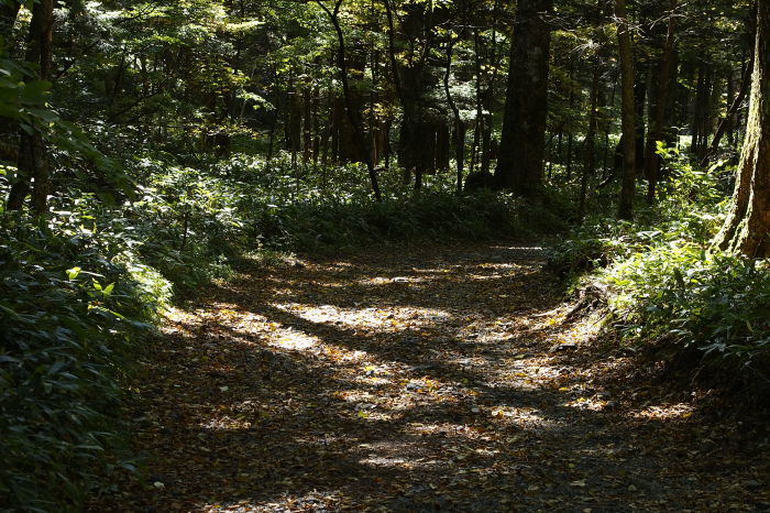e0307372_15221015.jpg