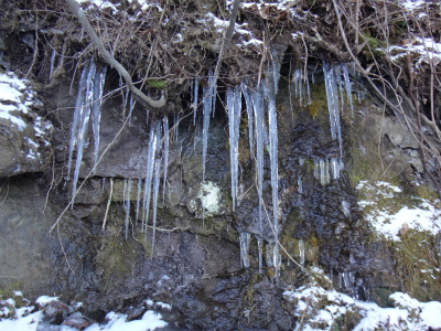 d0182075_8491218.jpg