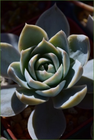 f0223677_13575550.jpg