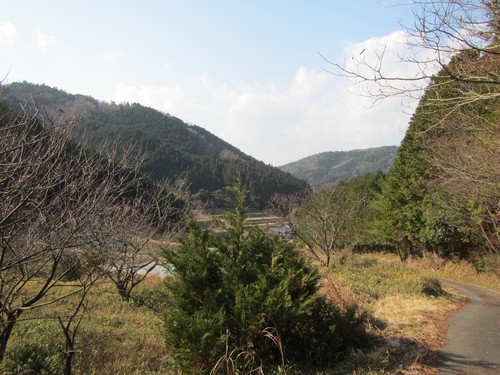 a0251786_21454892.jpg