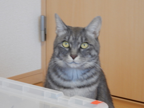 c0340786_10391751.jpg