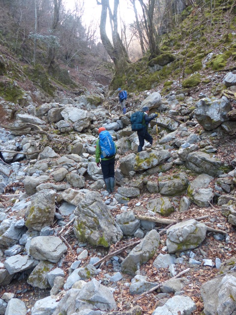f0357487_134619.jpg