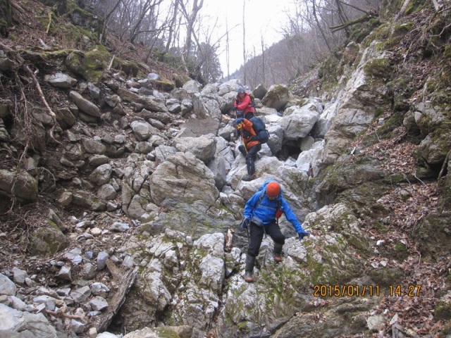f0357487_22432794.jpg