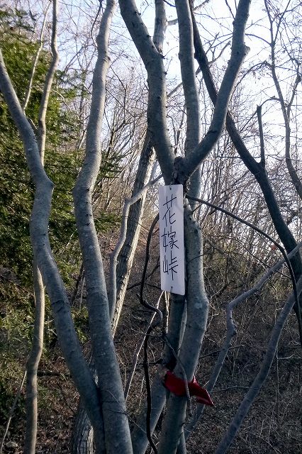 e0137200_22393233.jpg