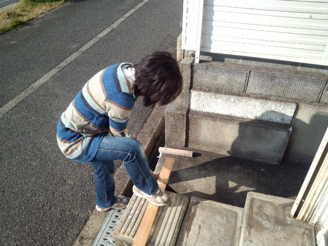a0327001_00451496.jpg