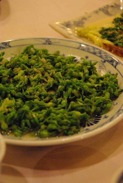 f0038904_23245014.jpg