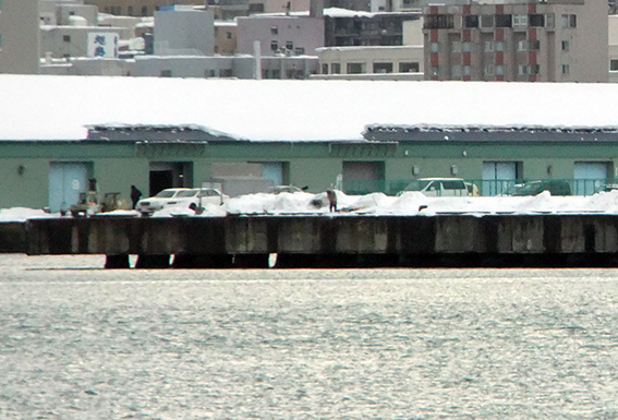 a0155319_19214030.jpg